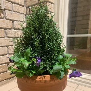 Meet your Posher, Erika